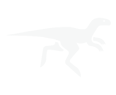 Study Timer Options for College StudentsCollege Raptor
