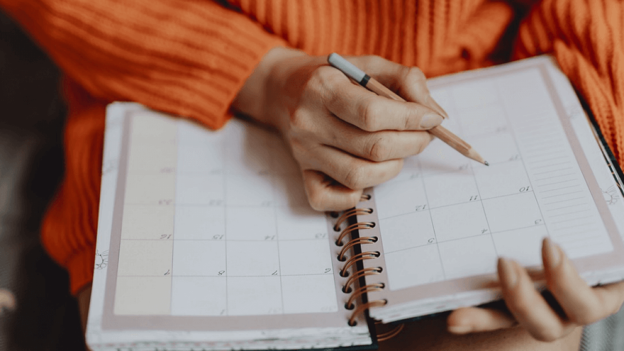 The 7 Best Student Planner Options For College College Raptor