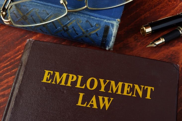 Is Employment Law The Perfect Career Path For You - 