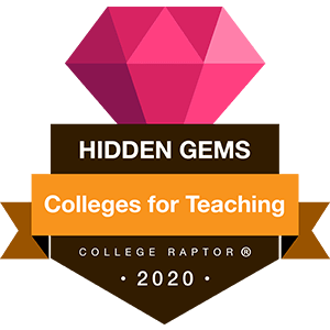 Hidden gems for teaching - colleges with teaching programs